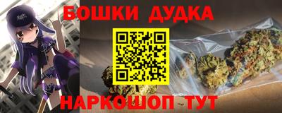 индика Будённовск