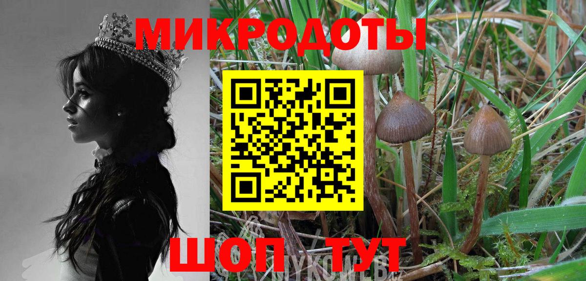 Галлюциногенные грибы прущие грибы Фрязино